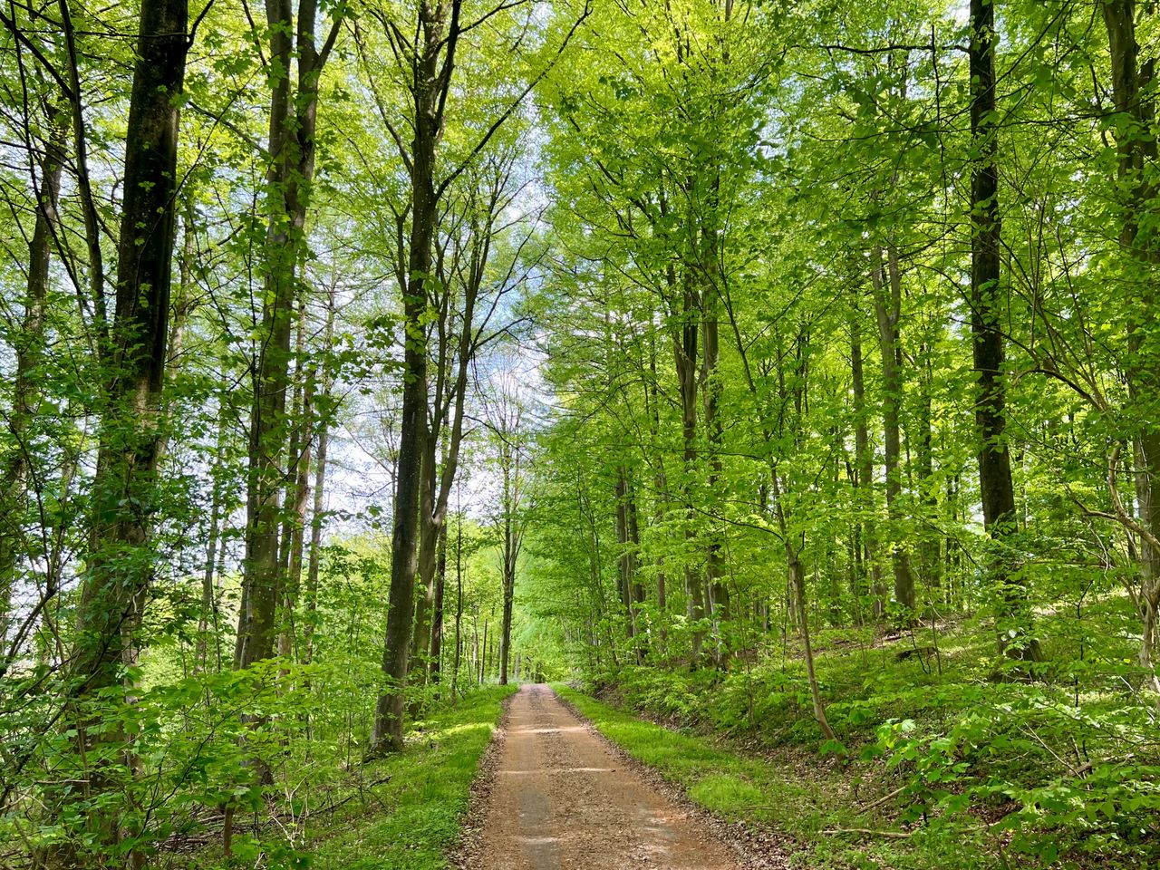 image 04